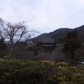 清水寺の朝