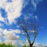 空　