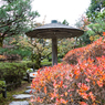 琉美園の四阿舎（那谷寺より）
