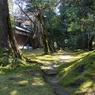 苔の庭園１（那谷寺より）