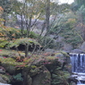 自宅近くの公園にて