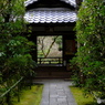 大徳寺高桐院