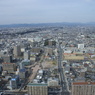 浜松市街