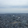 浜松市街と遠州灘
