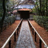 大徳寺高桐院