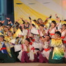 浜松がんこ祭り⑱静岡大学お茶ノ子祭々さん