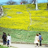 庄原　備北丘陵公園９