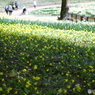 庄原　備北丘陵公園１３