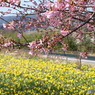 庄原　備北丘陵公園１６