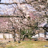 庄原　備北丘陵公園２２
