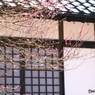 庄原　備北丘陵公園２５