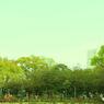 ばら公園(福山市)