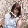 梅の国のアイドル３３