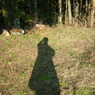 DSCF1587