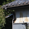 残る　その15