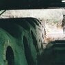 img102