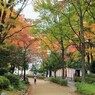 紅葉道
