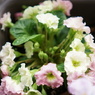 SEL28F20サンプル写真