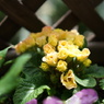 SEL28F20サンプル写真