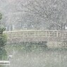 雪.