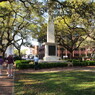 Down Town Savannah