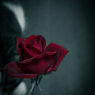 scent