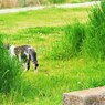 どこ行った！