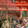 清水寺