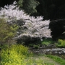 山里の春