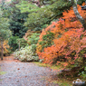 無限庵・玄関（こおろぎ橋と無限庵）