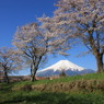 春の富士