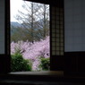 進徳館