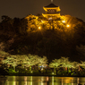 三渓園の夜桜７
