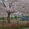 中ふれあい公園2