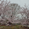 中ふれあい公園3
