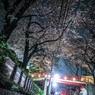 春夜行
