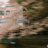 桜と三江線Ⅱ