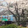 桜舞台の神楽号