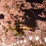 #展望台へと。。。