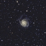 M101