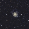 M101