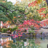 切石橋（養浩館庭園より）