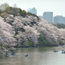 spring for tokyoites