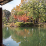 櫛形ノ御間からの風景（養浩館庭園より）