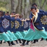 京都さくらよさこい⑤皇學館大學雅さん