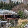 秩父の山から