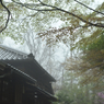 雨模様の景色
