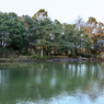 御座ノ間からの風景（養浩館庭園より）