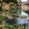 臼の茶屋の蹲踞（養浩館庭園より）
