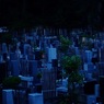 a graveyard